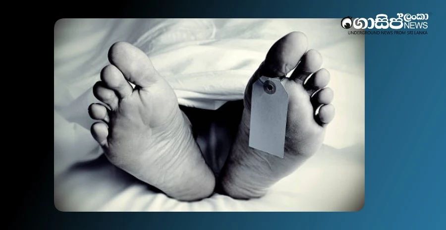 80-year-old-woman-dies-after-being-seriously-injured-by-cousins-stone-throwing