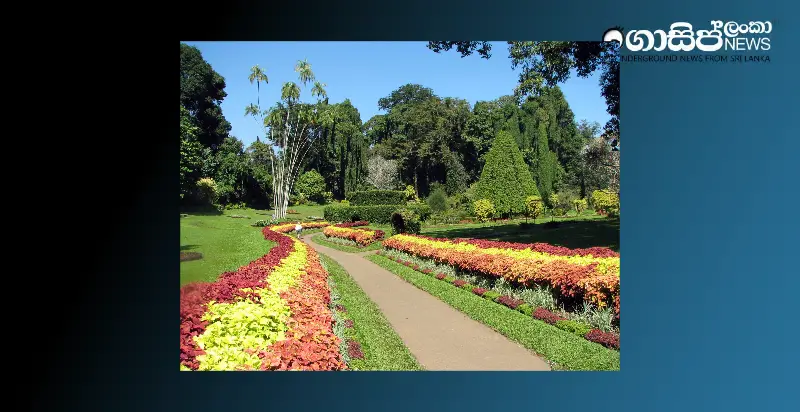 flood-damaged-malwatte-peradeniya-to-be-reopened-in-two-weeks