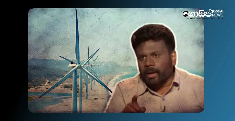 government-suspends-all-wind-power-projects-in-mannar-considering-possible-harm-to-birds