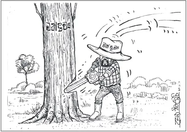 gossiplanka image 25