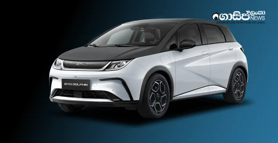 customs-releases-625-detained-byd-vehicles