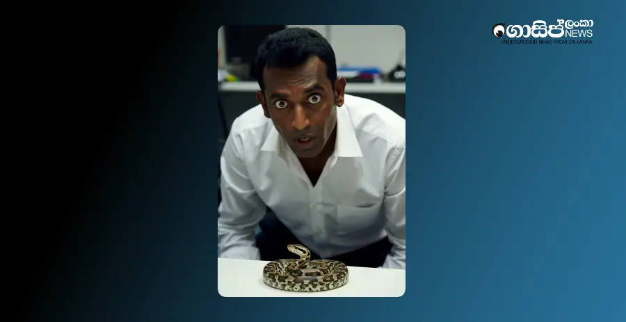 emergency-situation-after-cobra-found-in-speakers-office