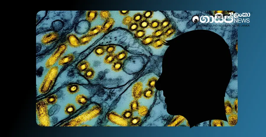 washington-resident-dies-from-bird-flu-strain-never-before-reported-in-humans