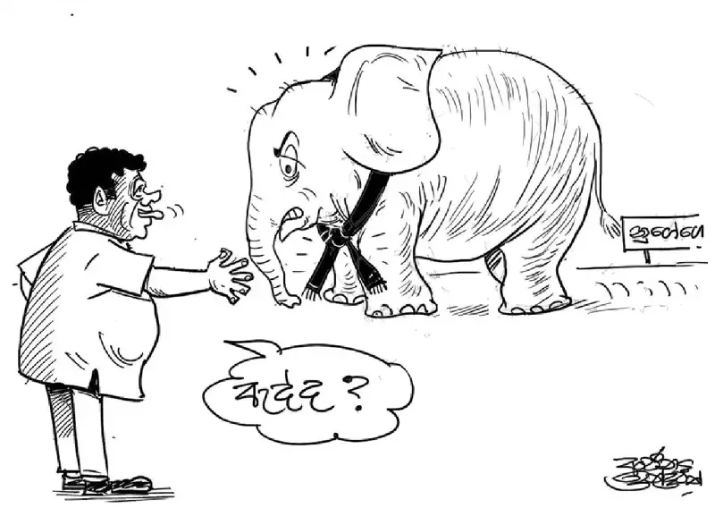 gossiplanka image 19