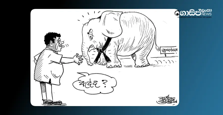 aliya-laughs-at-sajith-while-playing-with-the-elephant-monday-cartoon