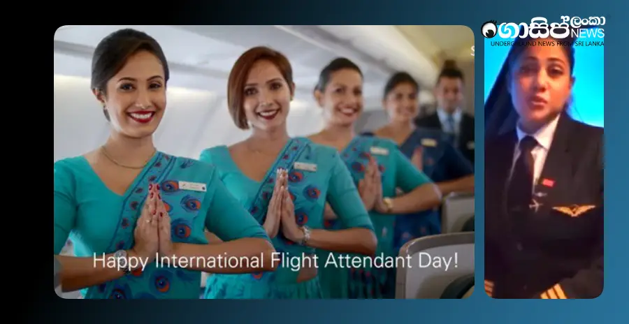 calling-chamika-a-flight-attendant-is-damaging-to-our-professional-reputation-airline-employees-union