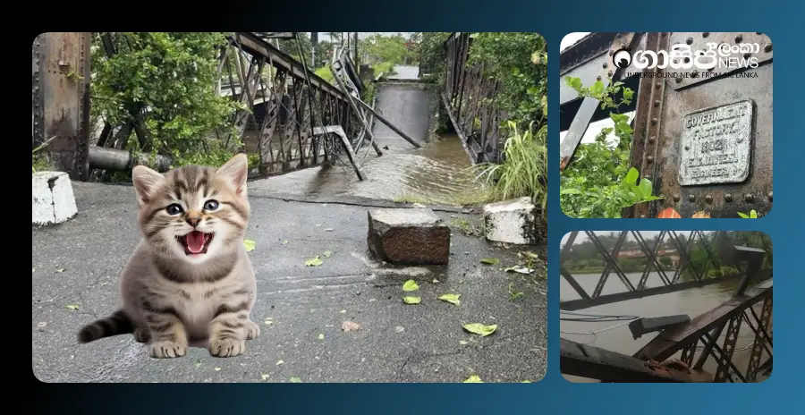 the-collapse-of-the-historic-bentara-bridge-during-heavy-rains-and-the-story-of-the-kitten