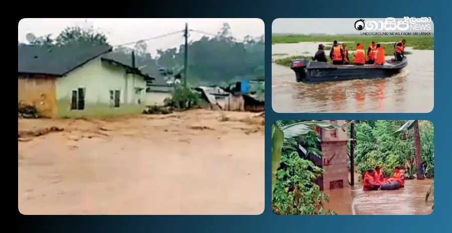 update-disaster-deaths-rise-to-56