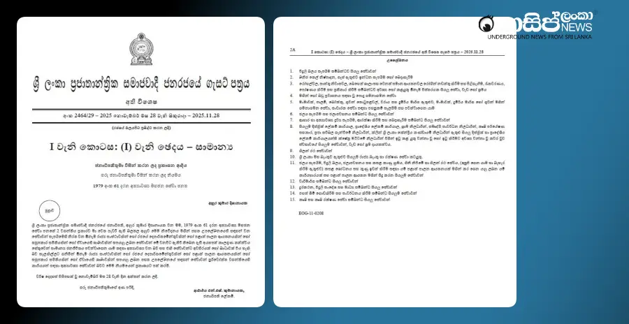 president-issues-gazette-notification-declaring-15-services-essential