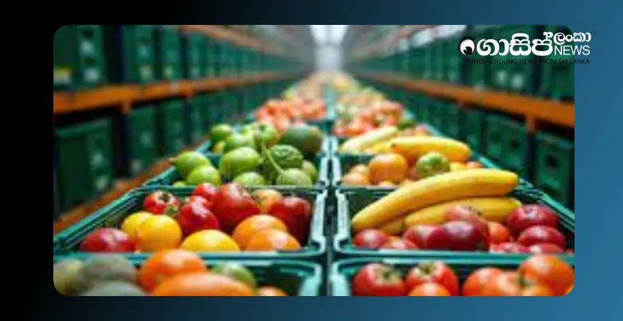 government-plans-to-import-vegetables-for-the-next-two-months-until-the-situation-improves