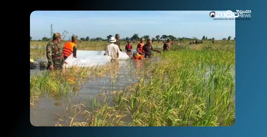 flood-damage-compensation-for-paddy-maize-onion-potato-chilli-and-soybean-growers