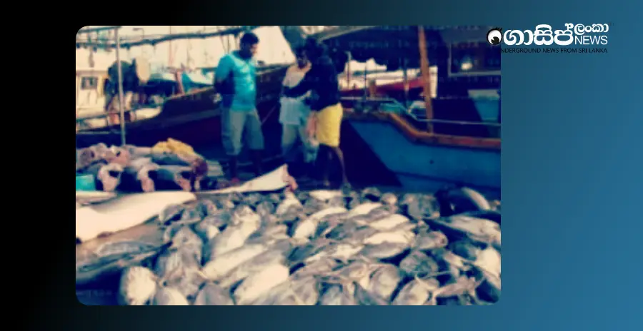 15-fish-export-centers-destroyed-in-sri-lanka