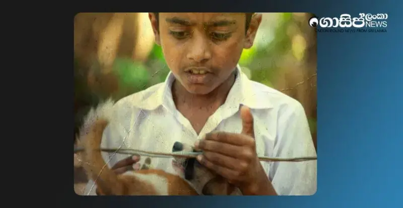 8-year-old-boy-dies-after-trying-to-save-electrocuted-dog