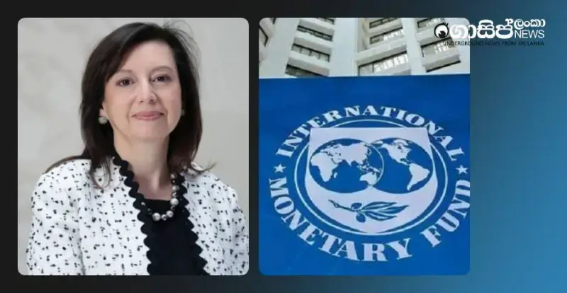 imf-to-disburse-350-million-loan-soon-separate-aid-for-disasters