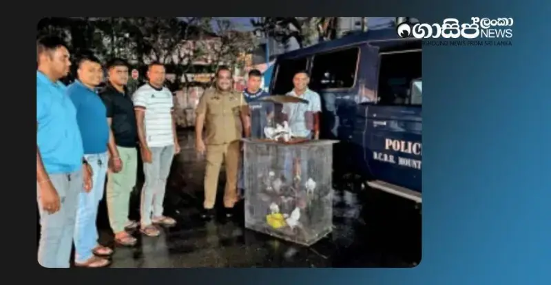 chef-arrested-with-15-pigeons-taken-from-zoo