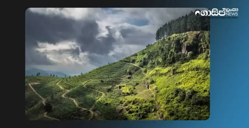 opposition-to-building-a-road-through-knuckles