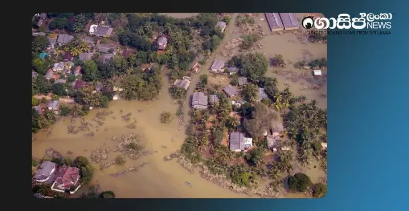 death-certificates-issued-for-203-missing-persons-from-the-disaster