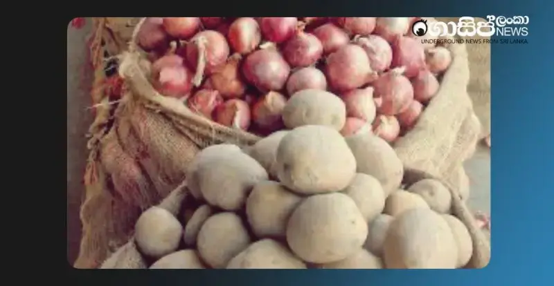 Potatoes, onions and lentils set to be imported