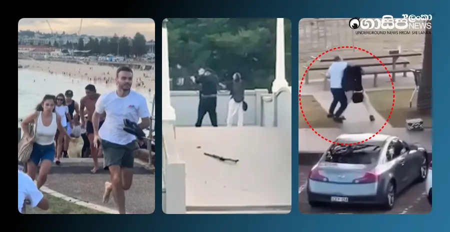 the-exploits-of-the-pakistani-father-and-son-who-carried-out-the-sydney-attack-and-the-fruit-vendor-video