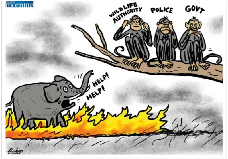 gossiplanka image 25