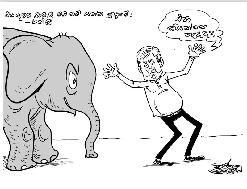 gossiplanka image 20