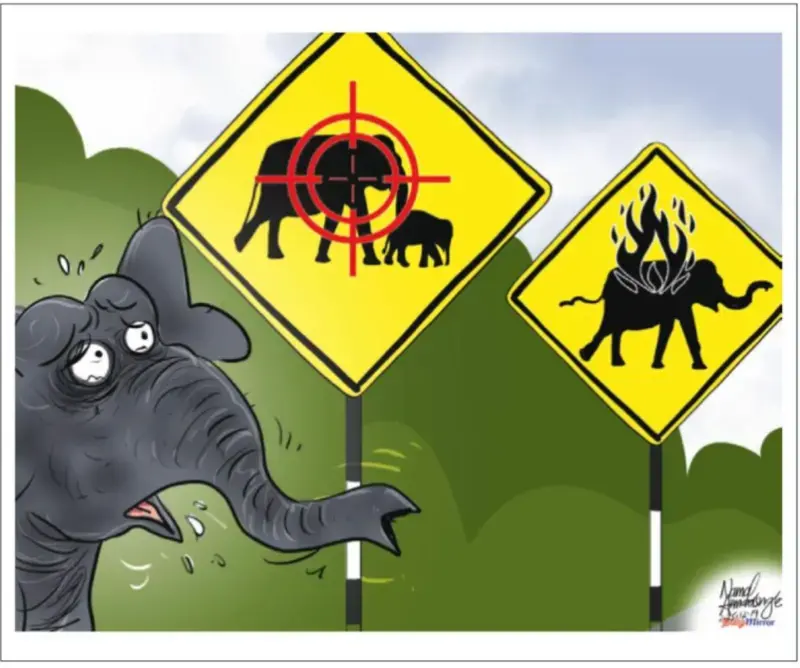 gossiplanka image 21