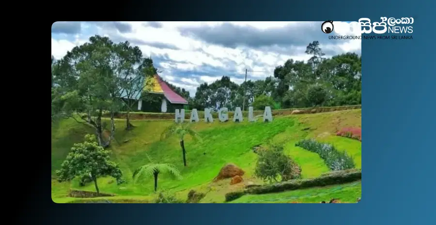 hakgala-park-reopened-after-landslide-sites-blocked