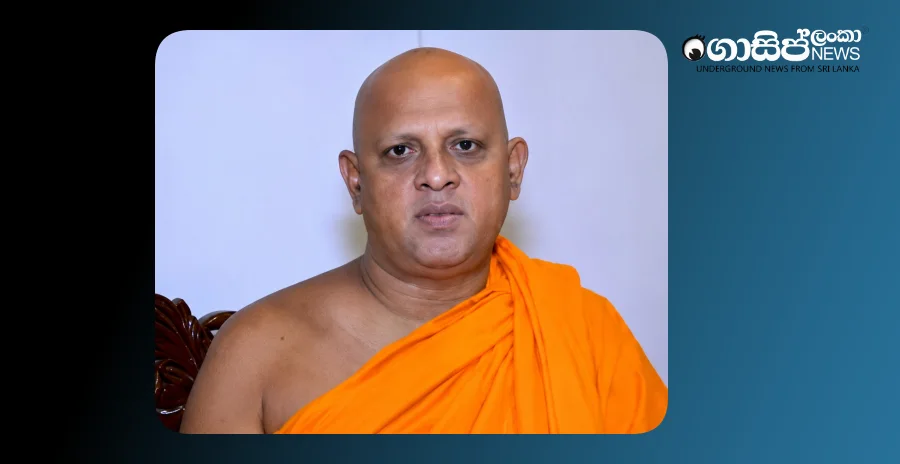 who-replaced-pallegama-thero-and-who-is-the-owner-of-this-itelavetunuewe