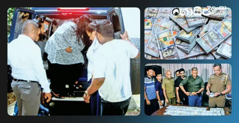 biggest-fake-dollar-racket-in-history-woman-arrested-with-fake-dollar-notes-worth-21-crores