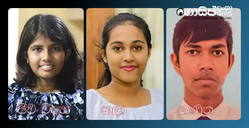 2024 Advanced Level Exam Results: The Island's Best