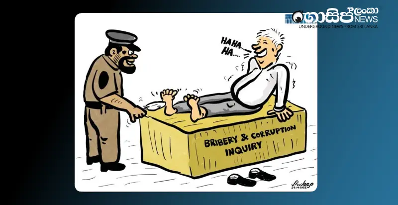 ranil-anura-cartoon