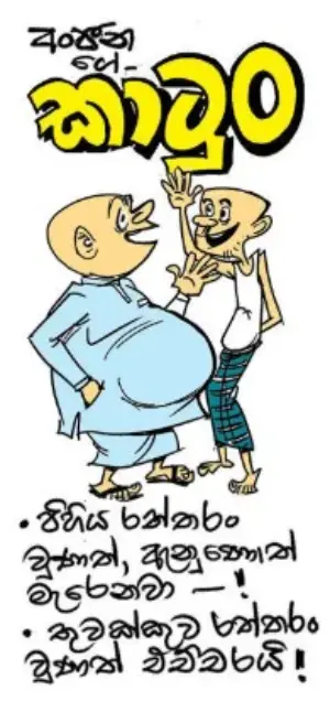 gossiplanka image 13