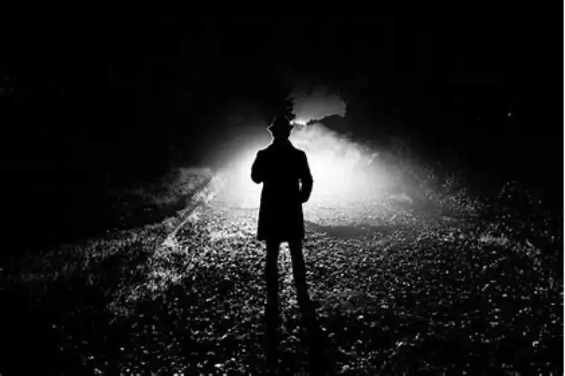 who-will-succeed-mahindananda-nalin