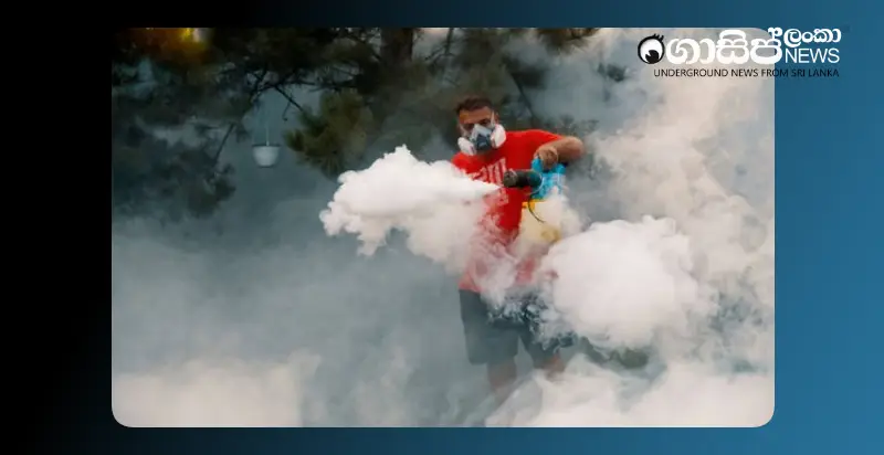 dengue-and-chikungunya-epidemic-situation-in-the-western-province