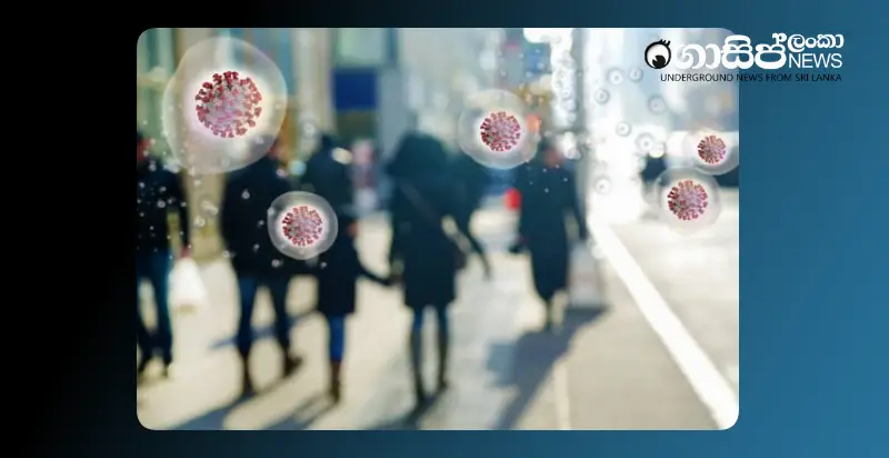 information-about-the-spread-of-influenza-chikungunya-dengue-and-the-new-coronavirus-in-sri-lanka