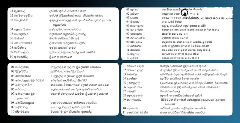 members-elected-from-maharagama-homagama-kesbewa-and-boralesgamuwa