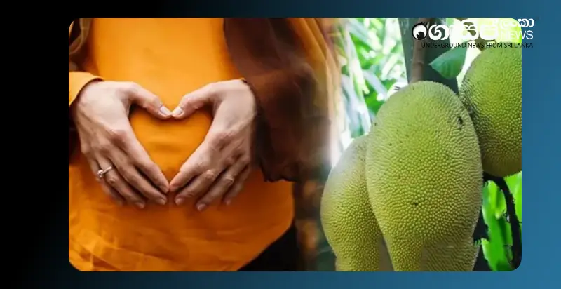 jackfruit-falling-into-pregnant-mothers-stomach-causes-miscarriage