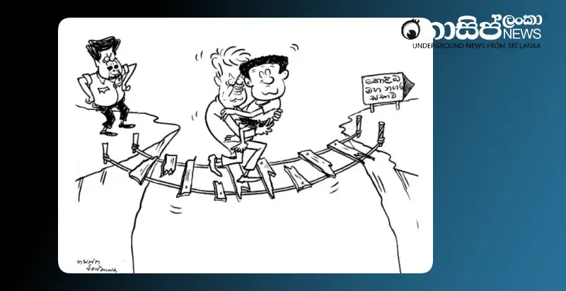 a-vine-bridge-for-the-colombo-municipal-council-wednesday-cartoon