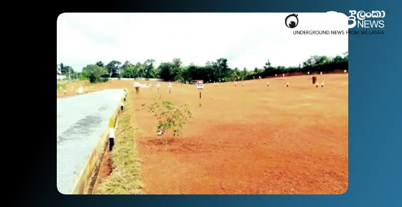 a-revelation-about-the-granting-of-large-amounts-of-land-in-the-mahaweli-region-to-actors-cricketers-and-ministers