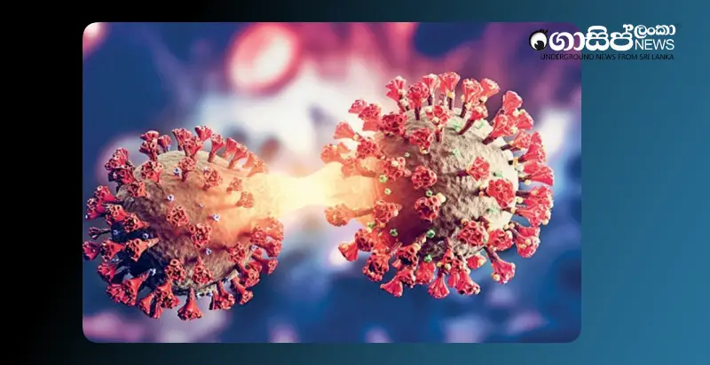 one-death-from-corona-in-anuradhapura-06-infected