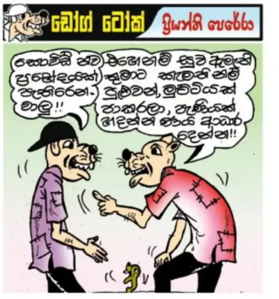 gossiplanka image 14