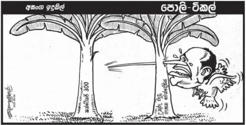 gossiplanka image 10