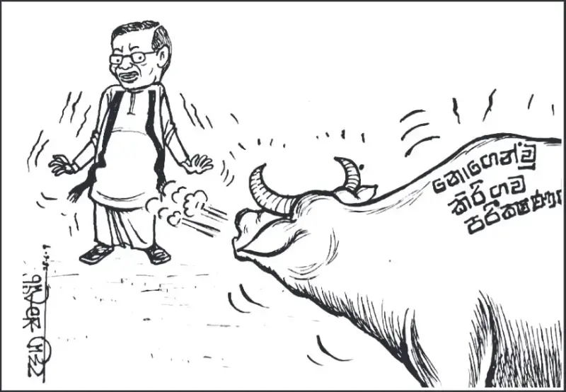 gossiplanka image 25