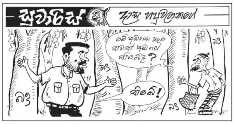 gossiplanka image 20