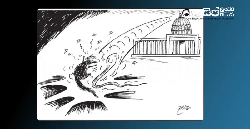 colombos-naimugatti-throws-away-wednesday-cartoon