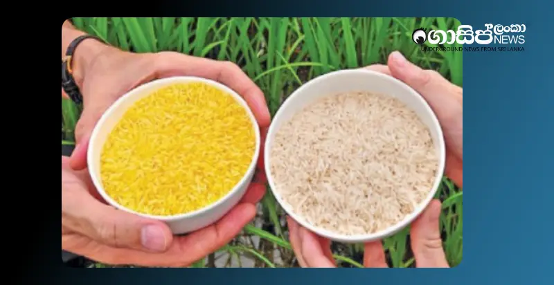 investigations-into-chinese-fertilizer-deal-conflicting-laboratory-reports-draw-attention