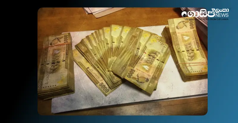 a-bribe-of-one-hundred-thousand-rupees-was-taken-to-give-a-permit-to-cut-a-tree