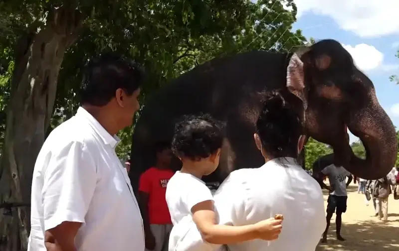 gossiplanka image 10