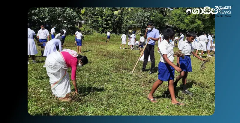 a-special-mosquito-control-week-from-monday-30