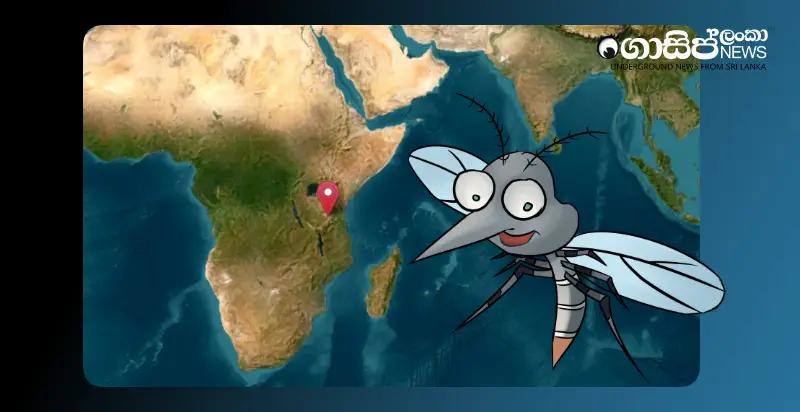 kurunegala-youth-who-returned-from-tanzania-contracts-malaria